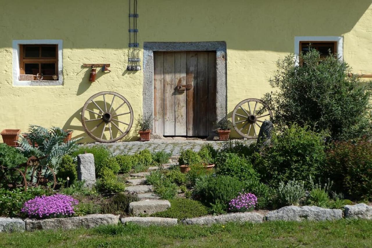 Ferienwohnung Schindler Nittenau Экстерьер фото